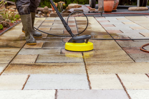 Best Animal Enclosure Cleaning  in St Cloud, FL